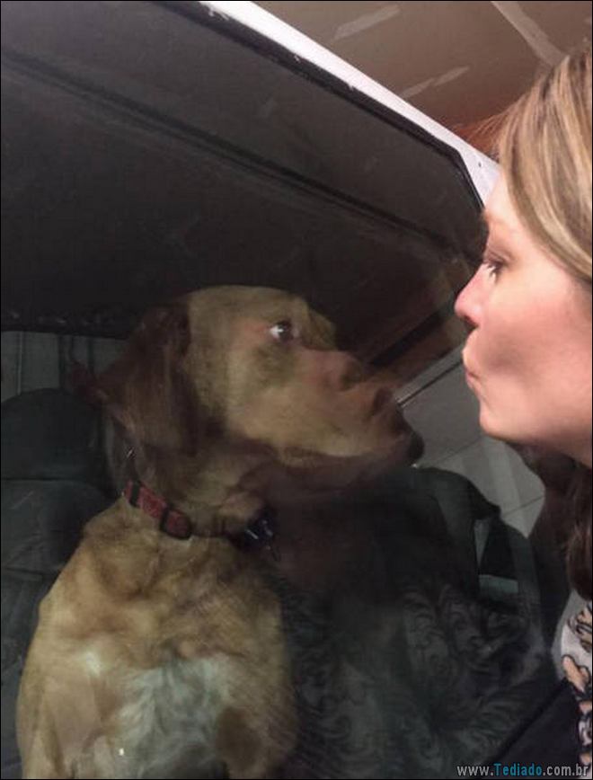 Será que existem algum tipo de truque para estas fotos (34 fotos) 14