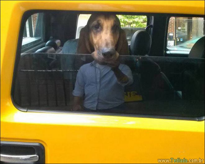 Será que existem algum tipo de truque para estas fotos (34 fotos) 25