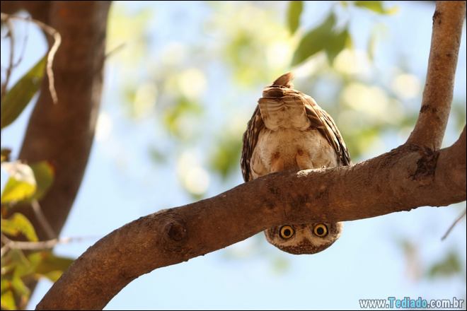 22 fotos que você vai encontrá-lo difícil de esquecer 5