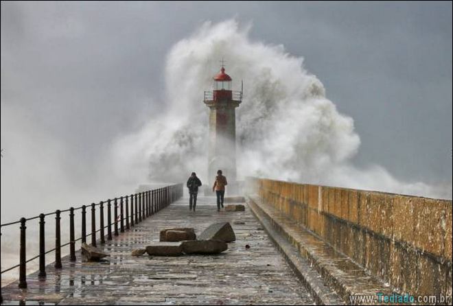 27 fotos tiradas no momento certo 9