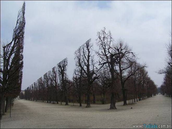 38 fotos tão perfeitas que nem precisou do photoshop 14