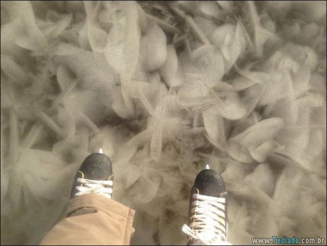 38 fotos tão perfeitas que nem precisou do photoshop 25