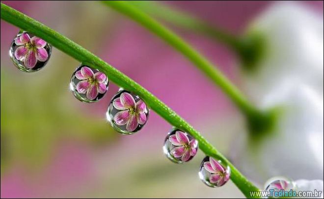 38 fotos tão perfeitas que nem precisou do photoshop 31