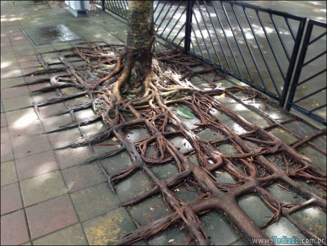 38 fotos tão perfeitas que nem precisou do photoshop 33