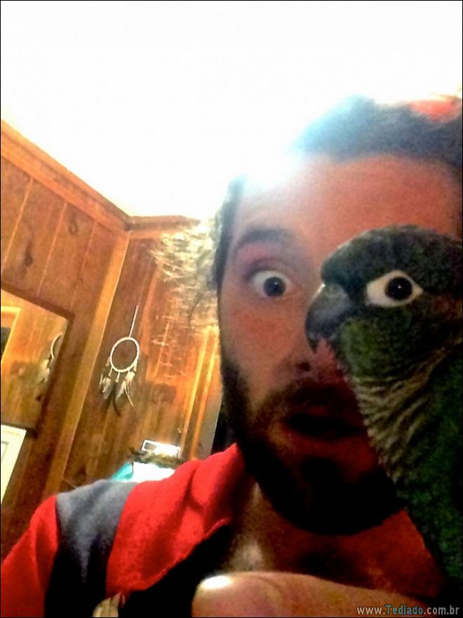 28 fotos perfeitas tiradas na hora certa 3