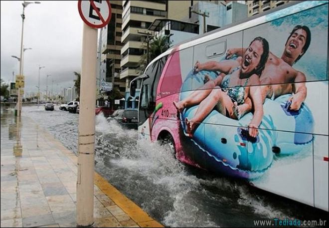 28 fotos perfeitas tiradas na hora certa 12