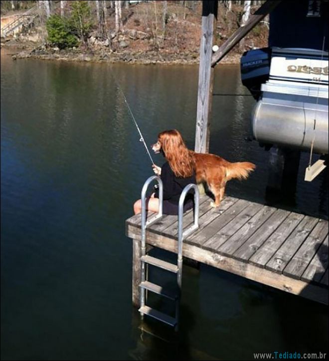 28 fotos perfeitas tiradas na hora certa 14