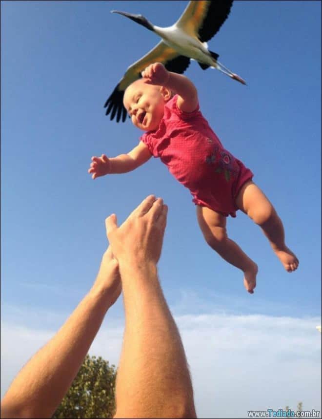 28 fotos perfeitas tiradas na hora certa 16