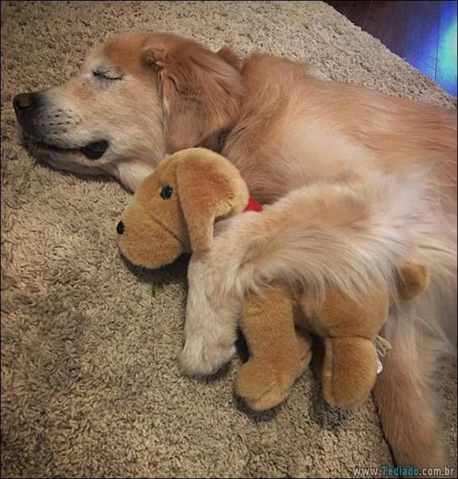 28 fotos impressionantes de tirar o fôlego 22