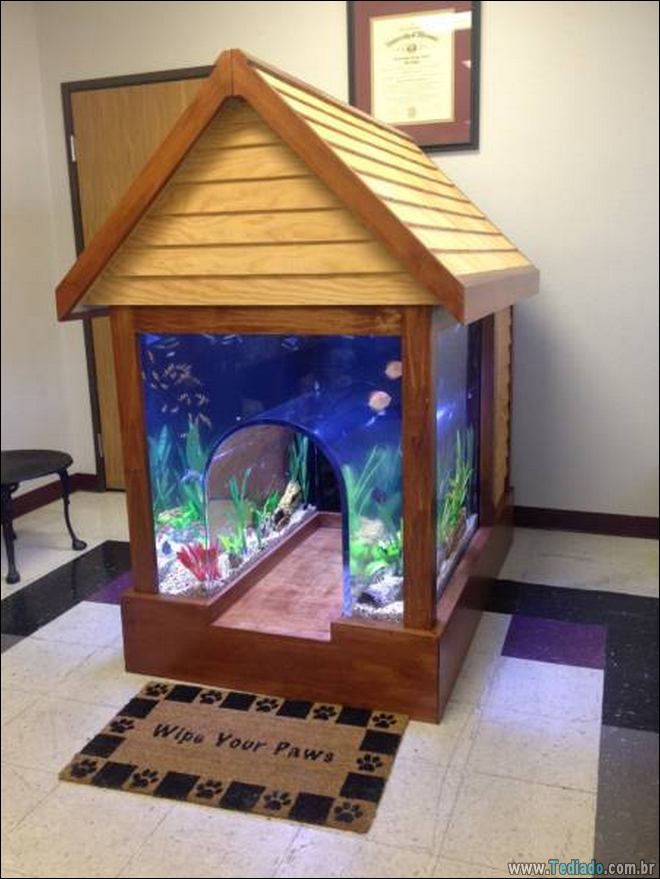 28 fotos impressionantes de tirar o fôlego 26