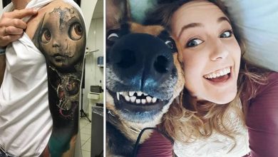28 fotos impressionantes de tirar o fôlego 16