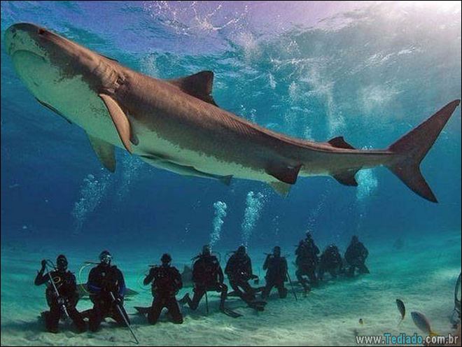 Imagens diversas #24 (28 fotos) 5