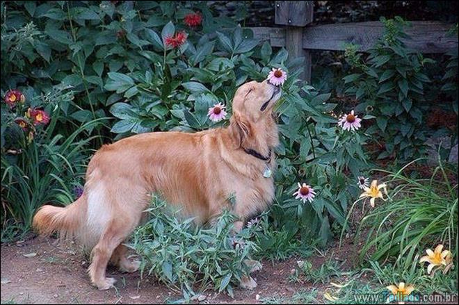 Imagens diversas #24 (28 fotos) 23