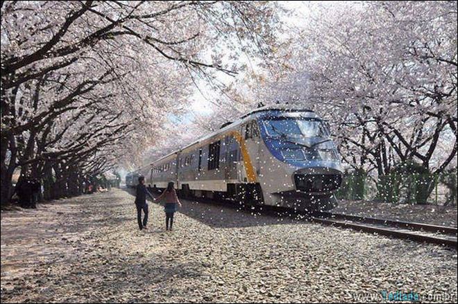 Imagens diversas #24 (28 fotos) 26