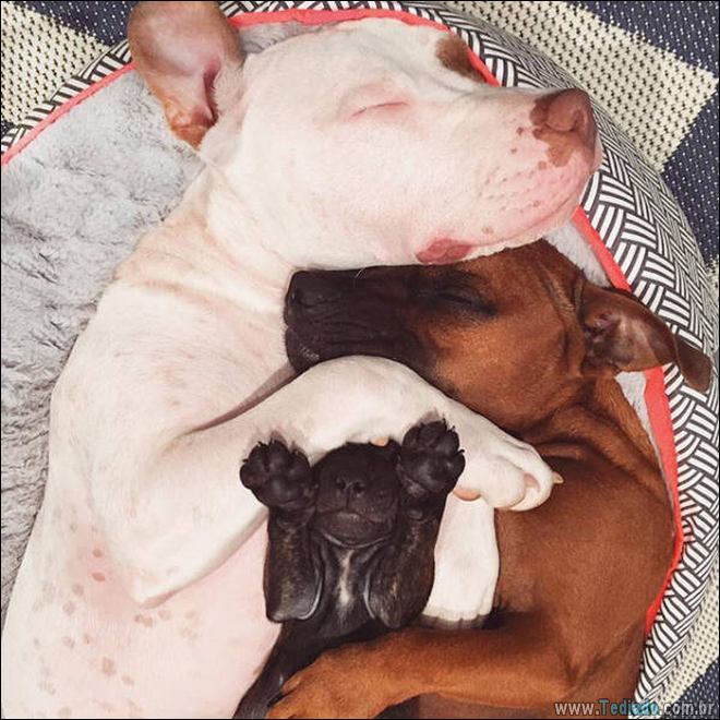 O nível é impressionante e tão incrivelmente alto (22 fotos) 17