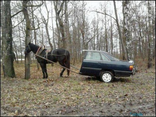 Não confie em mim, eu sou quase um gênio (38 fotos) 8