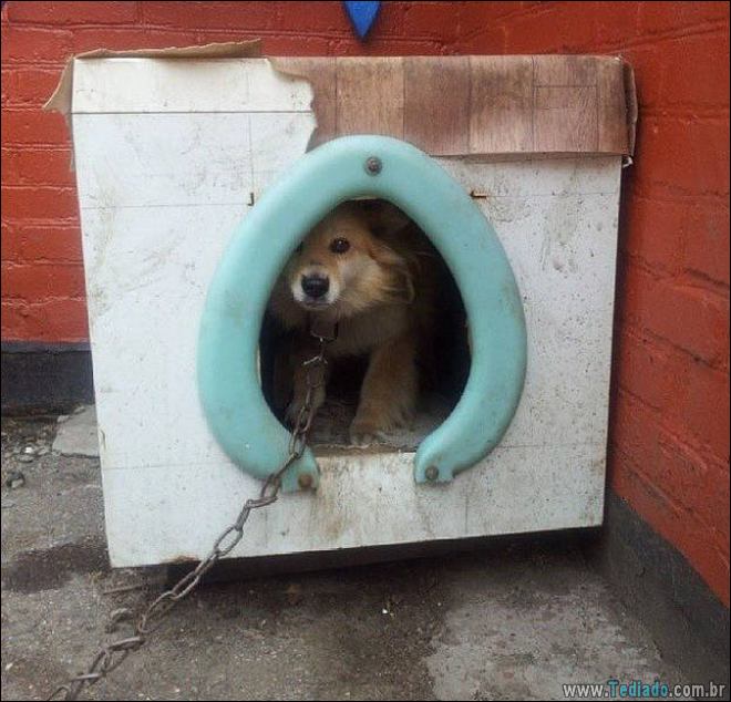 Não confie em mim, eu sou quase um gênio (38 fotos) 25