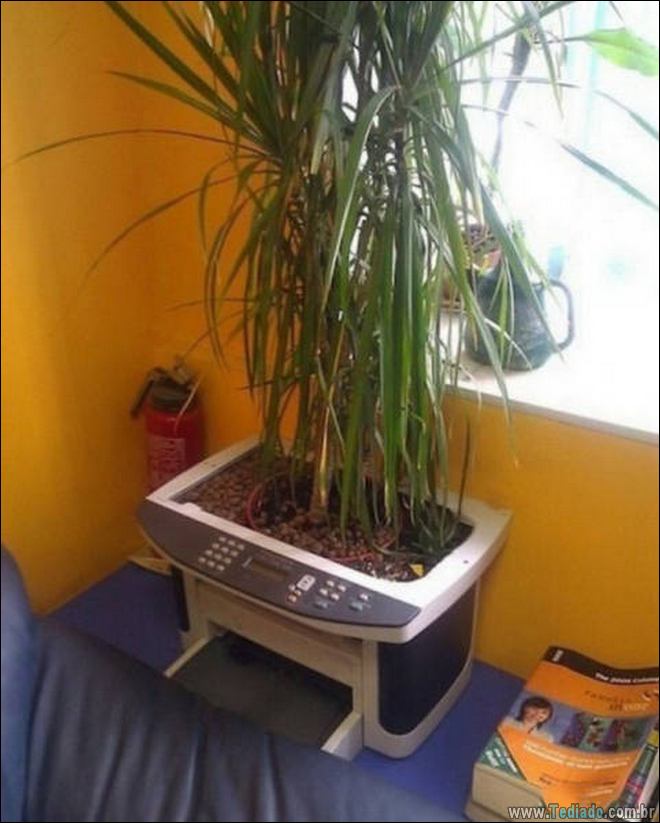 Não confie em mim, eu sou quase um gênio (38 fotos) 32