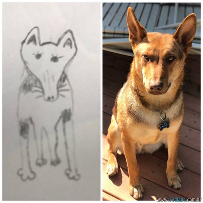 Pequenos detalhes que muda tudo (19 fotos) 1