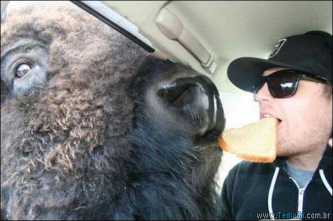 A primeira palavra que virá a sua mente depois de ver estas fotos (28 fotos) 3