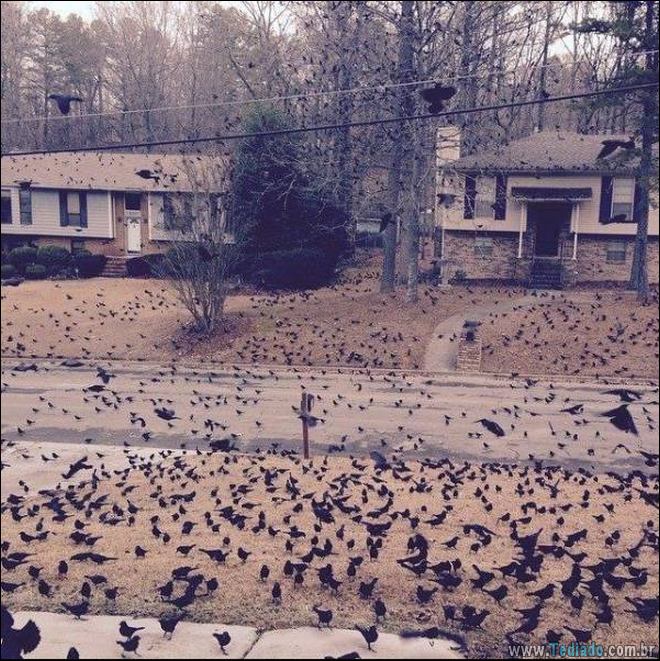 A primeira palavra que virá a sua mente depois de ver estas fotos (28 fotos) 11