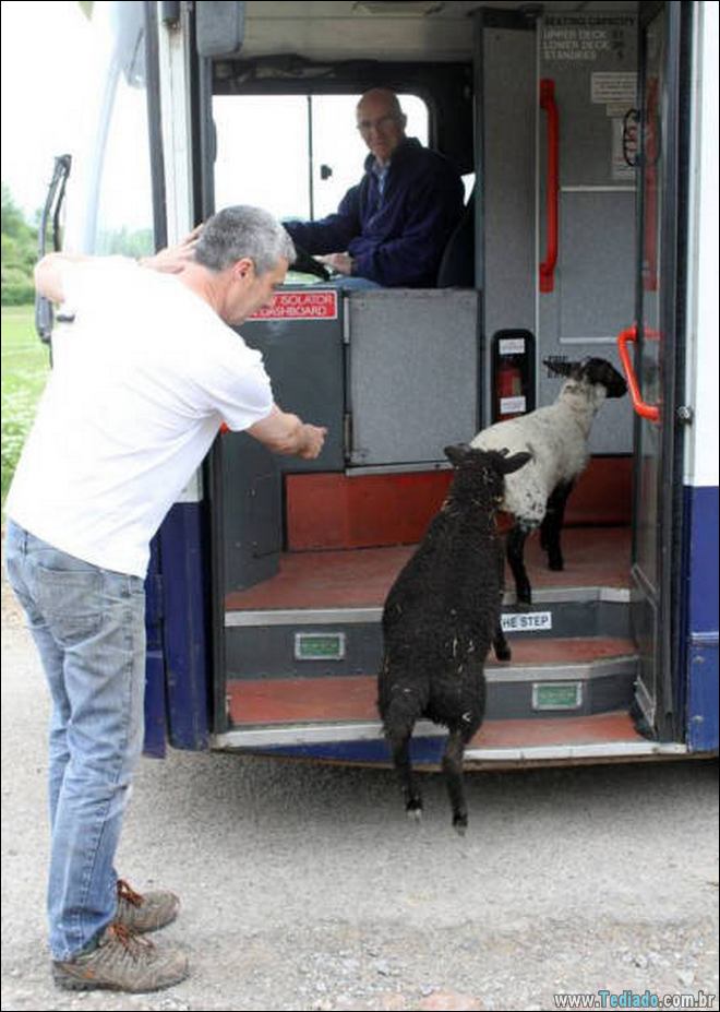 A primeira palavra que virá a sua mente depois de ver estas fotos (28 fotos) 16