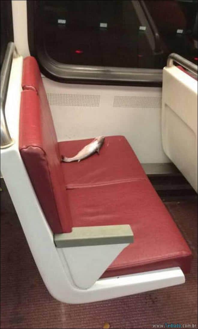 A primeira palavra que virá a sua mente depois de ver estas fotos (28 fotos) 18