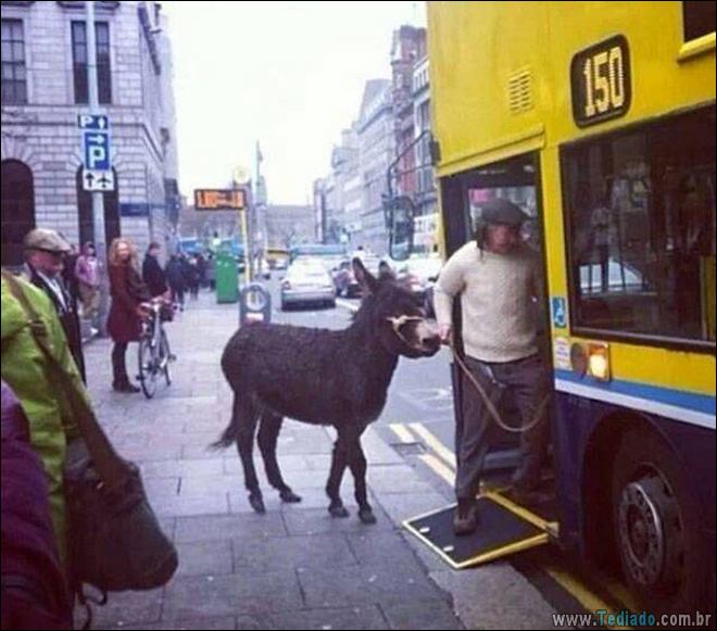 A primeira palavra que virá a sua mente depois de ver estas fotos (28 fotos) 26