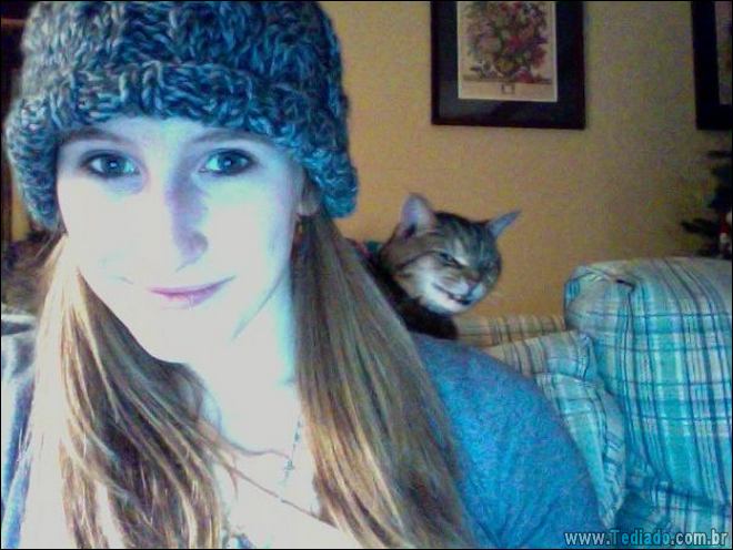 23 fotos que prova que os gatos são realmente demônios 11