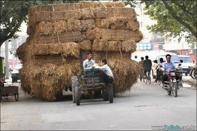 Talvez seja melhor para eles não pensam sobre Segurança? (38 fotos) 3