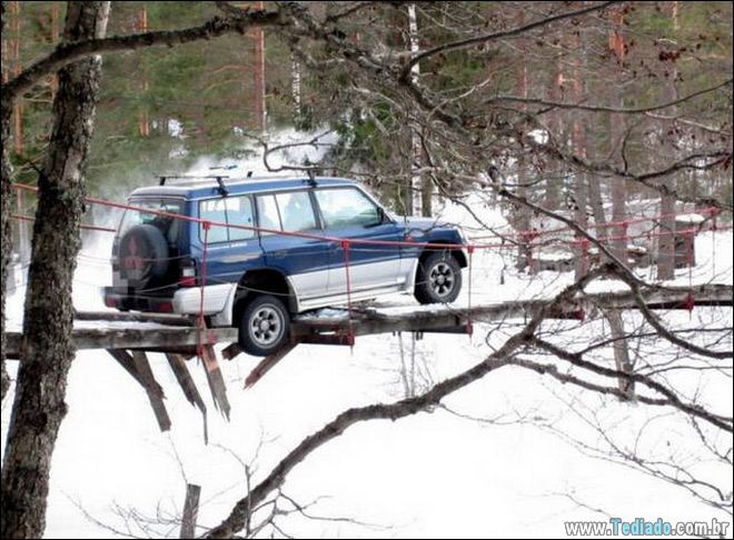 Talvez seja melhor para eles não pensam sobre Segurança? (38 fotos) 6