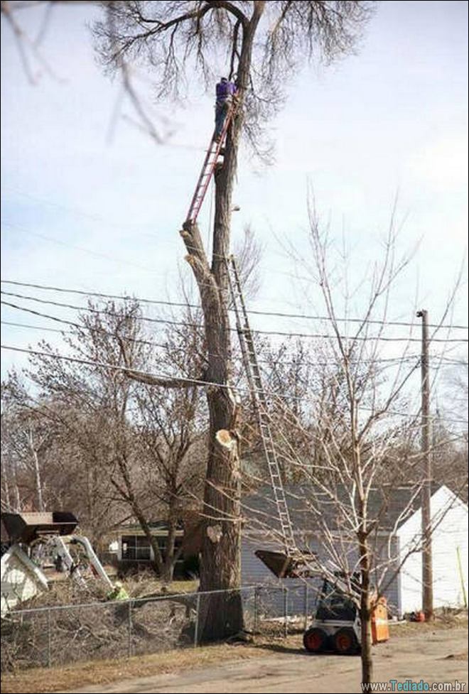 Talvez seja melhor para eles não pensam sobre Segurança? (38 fotos) 23