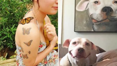 20 vezes que a vida imitou a arte 6