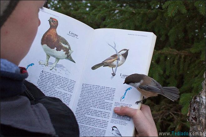 20 vezes que a vida imitou a arte - arte 20 vezes que a vida imitou a arte