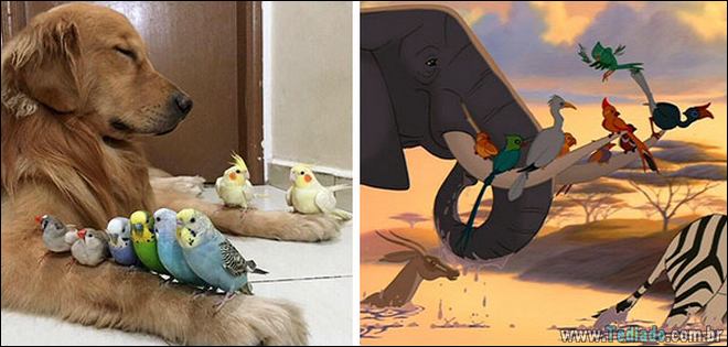 20 vezes que a vida imitou a arte - arte 20 vezes que a vida imitou a arte