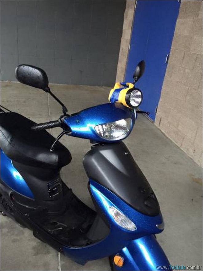 Yup, você totalmente exausto! (23 fotos) 7