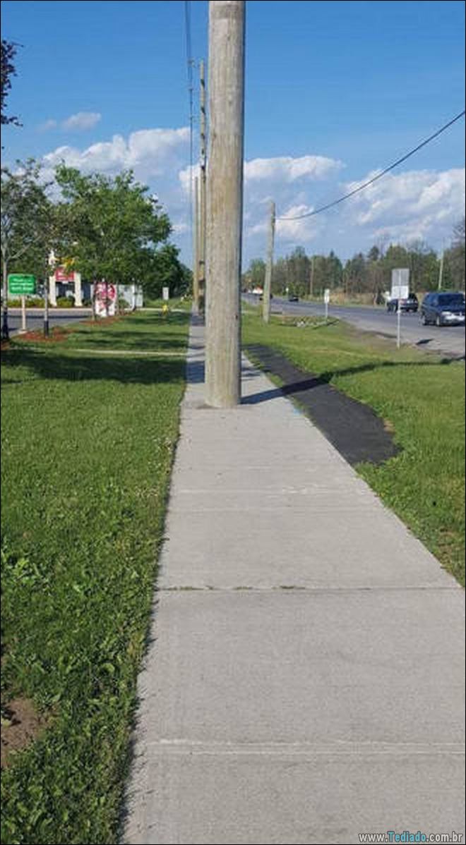 Yup, você totalmente exausto! (23 fotos) 15