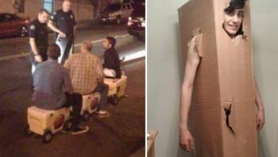 Eis porque ser um adulto é tão difícil (15 fotos) 10