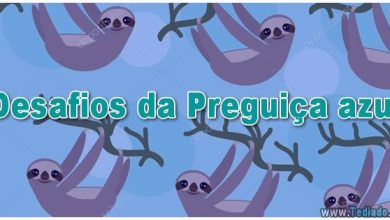 50 desafios da Preguiça azul para adolescente 9
