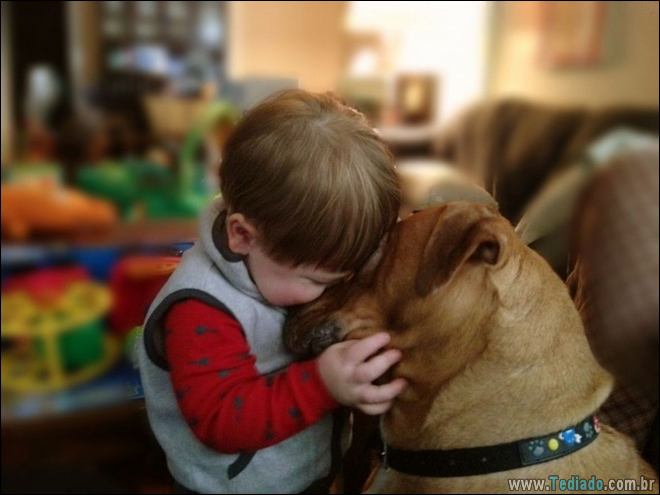 25 fotos que mostram por que cada criança deve ter um animal de estimação 1