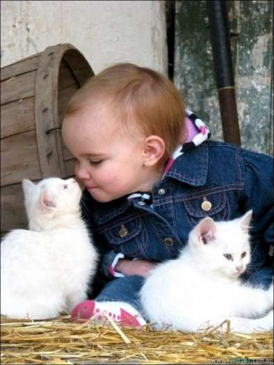 25 fotos que mostram por que cada criança deve ter um animal de estimação 4