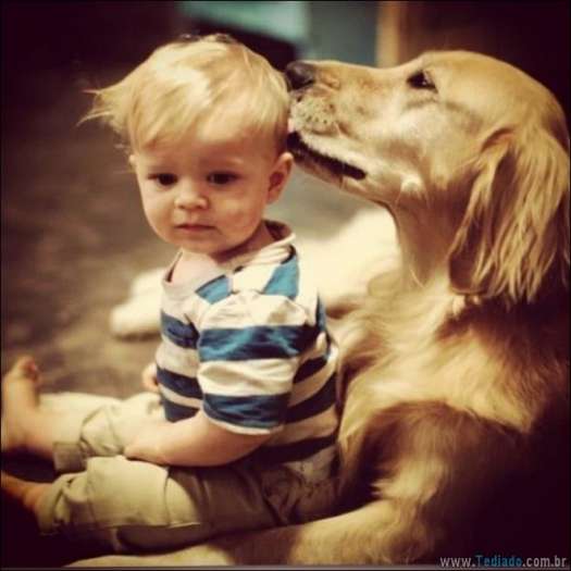 25 fotos que mostram por que cada criança deve ter um animal de estimação 11