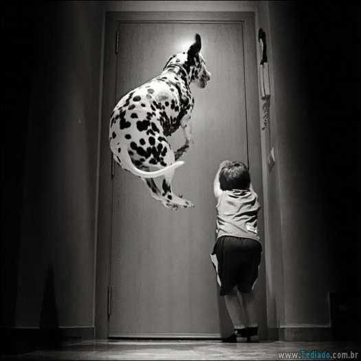 25 fotos que mostram por que cada criança deve ter um animal de estimação 20