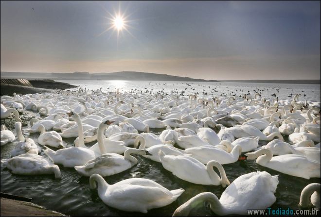 22 fotos impressionantes que não precisam de photoshop 3