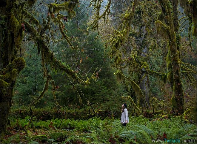 22 fotos impressionantes que não precisam de photoshop 5