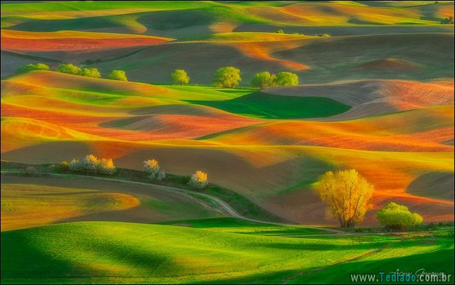 22 fotos impressionantes que não precisam de photoshop 9