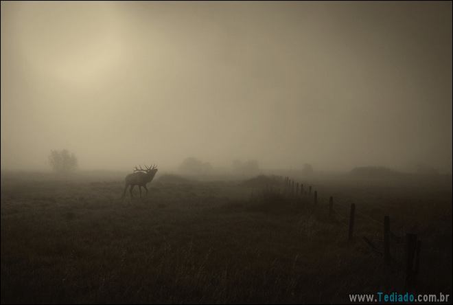 22 fotos impressionantes que não precisam de photoshop 15