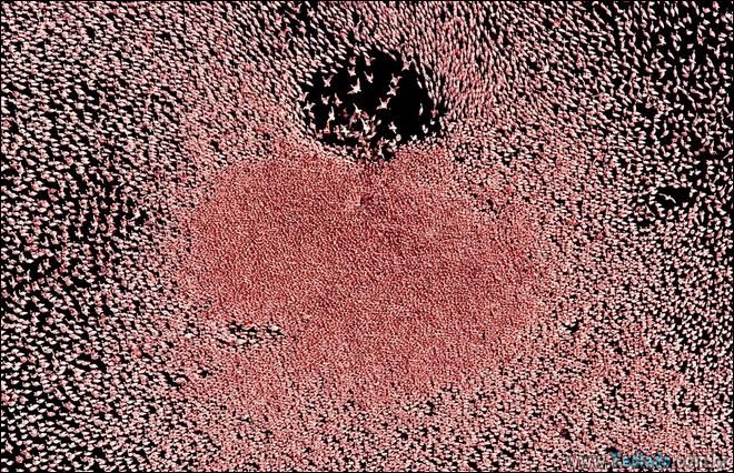 22 fotos impressionantes que não precisam de photoshop 17