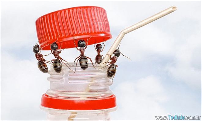 22 fotos impressionantes que não precisam de photoshop 22