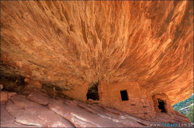 23 fotos incomuns que você terá que olhar duas vezes 2